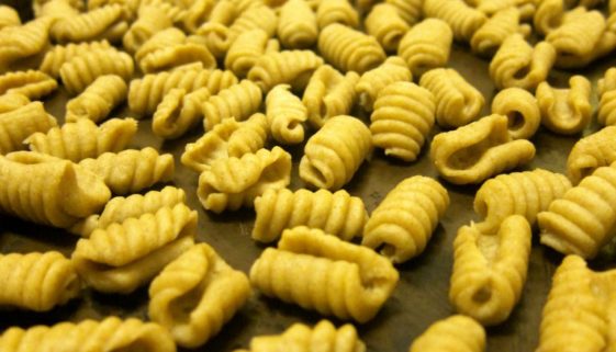 Mixed Grain Cavatelli