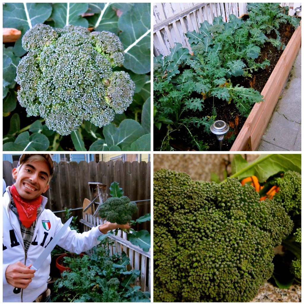 BroccoliSoup2