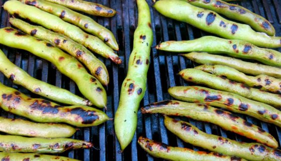 GrilledFavas1